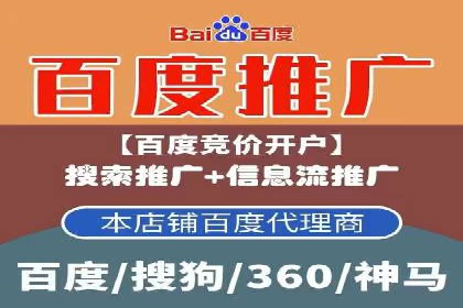 某某SEM服务公司成功案例：从数据出发的营销策略